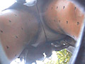 エグイ！極！パンチラ超接近○撮