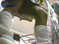 GAL-PAN02