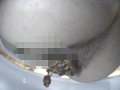 ○撮、流れないトイレ5