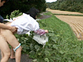 熟女青○劇場 花いちモンペ 四
