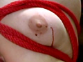 鞭と痣と乳と針