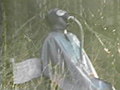 rubber's lover1