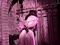 S氏の緊練ライブショー
