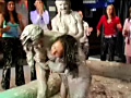 欧州ガチンコ美女 泥レスリング