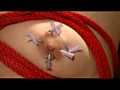 肉刺革命 乳に容赦なく突き刺さる無数の針地獄。