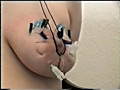 肉刺革命 乳に容赦なく突き刺さる無数の針地獄。