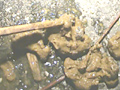 野糞 ギャルの野糞を徹底解剖4