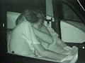 全国○撮大図鑑 カーセックス全集2