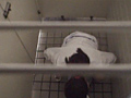 全国○撮大図鑑 女子トイレ全集1