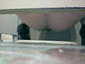 全国○撮大図鑑 女子トイレ全集1