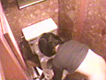 全国○撮大図鑑 女子トイレ全集1