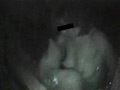 ○撮戦士 Peeping ドライバー 極夜