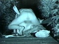 ○撮戦士 ナイトライダー 翔