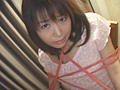 THEメッシー・変態グルメ 星月まゆら