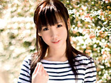 普通の女の子 藤井このみの記録