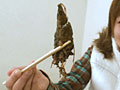 素人浣腸とえのきうんこ