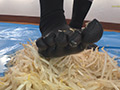 倉科ちゃんのもやしクラッシュ 五本指靴下