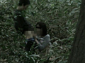 春のお花見公園2009年 完全○撮