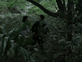 春のお花見公園2009年 完全○撮