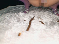 ビチクソまき散らす！脱糞ディスコレディ