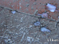 昼下がりのチンポ遊び（野外） 飯沼朗 vol.10