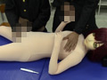 性教育専用ドール