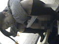 ウンコ○撮 美人娘たちの肛門から垂れ落ちる糞