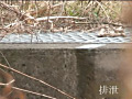 もう我慢できない！青空排泄○撮！
