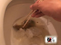 故障したトイレで排便する様子と焦っている様子を○撮2
