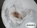 女子○生限定！○撮！トイレおもらしの瞬間2