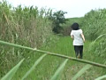野外放尿してる女を隠し撮りした後、マ○コをさわる！DX