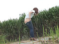 野外放尿してる女を隠し撮りした後、マ○コをさわる！DX