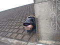 野外放尿する女たち