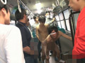 蒼がアナルを○され複数人からぶっかけられる！