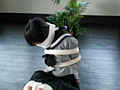 女子○生緊○図鑑2