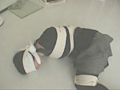 クロロシーン特集