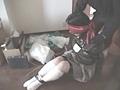 女子○生 誘拐日記