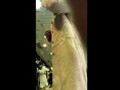 痴○記録日記 vol.26