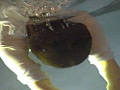 The Moonface Underwater DVD 「Mermaid2」