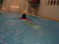 The Moonface Underwater DVD 「Mermaid2」