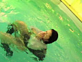 気ままな水遊び
