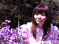 サクラ、咲く道