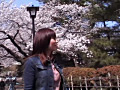 サクラ、咲く道