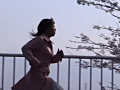 サクラ、咲く道
