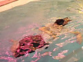 漂～ただよふ