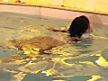 漂～ただよふ