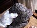 女性宅不法侵入 下着○撮