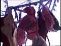 女性宅不法侵入 下着○撮