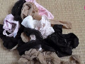 投稿／息子の嫁（28歳）の汚れたパンツ
