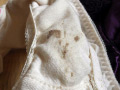投稿／息子の嫁（28歳）の汚れたパンツ